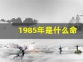 1985年是什么命(1985年是什么命五行缺什么)