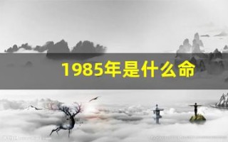 1985年是什么命(1985年是什么命五行缺什么)