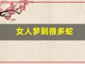 女人梦到很多蛇(女人梦到很多蛇)