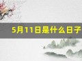 5月11日是什么日子(5月11日是什么日子需要鸣笛)