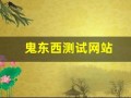 鬼东西测试网站(鬼东西测试网站你名字的意义)