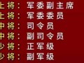 2011年什么年(2011年什么年生肖)