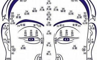 面相算命(面相算命免费)