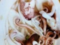 3月14日(3月14日是什么星座)