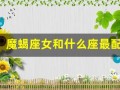 魔蝎座女和什么座最配(魔蝎女跟什么星座比较合得来)