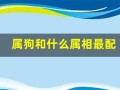 属狗和什么属相最配