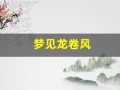 梦见龙卷风(梦见龙卷风把自己卷但是没事)