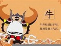 牛年出生的人的命运(牛年出生的男宝宝取名)