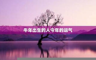 牛年出生的人的命运(牛年出生的人的命运是什么)