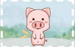 2013年属猪人的运势(猪13年相当于人多少岁)