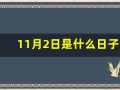 11月2日是什么日子(11月2日是什么日子是什么生肖日)