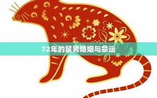 鼠年出生的人的命运(鼠年出生的人的命运明年怎么样)