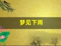 梦见下雨(梦见下雨房子漏雨)