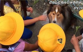 2016年6月13日(2016年6月13日3d开奖结果)