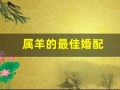 属羊的最佳婚配(属羊女的最佳婚配)