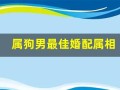 属狗男最佳婚配属相(属狗男最佳婚配属相老鼠)