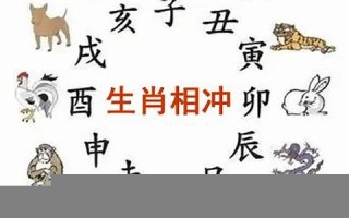 唯命是从是什么生肖(唯命是从打一数字)