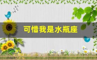 可惜我是水瓶座(可惜我是水瓶座国语)