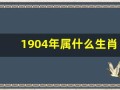 1904年属什么生肖(1904年属什么生肖8月龙命运)
