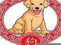 属狗是哪年出生的(属羊是哪年出生的)