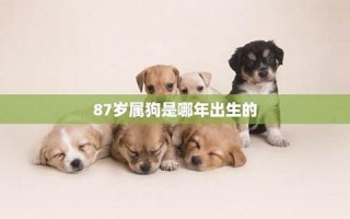 属狗是哪年出生的(属鸡是哪年出生的)