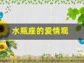 水瓶座的爱情观