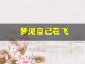 梦见自己在飞(梦见自己在飞翔)
