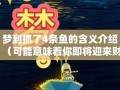 梦见抓鱼(梦见抓鱼是什么意思有什么预兆)