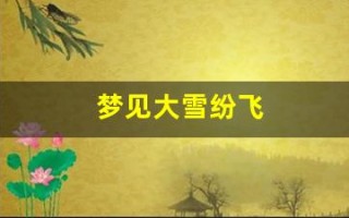 梦见大雪纷飞(离婚女人梦见大雪纷飞)