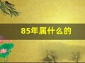 85年属什么的(69年属什么生肖多少岁)