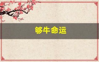 够牛命运(够牛命运wyd2)