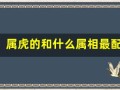 属虎的和什么属相最配(属虎的和什么属相最配婚姻)