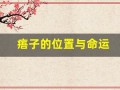 痦子的位置与命运(痦子的位置与命运图男)