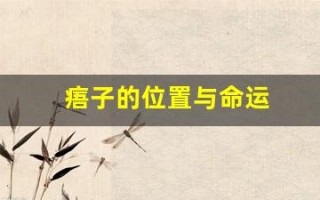 痦子的位置与命运(痦子的位置与命运图男)