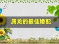 属龙的最佳婚配(属龙女的最佳婚配)