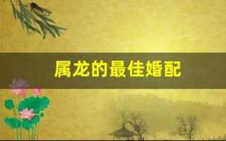 属龙的最佳婚配(属龙的最佳婚配属相)