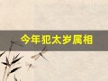 今年犯太岁属相(今年犯太岁属相有哪些)