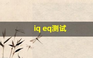 iq eq测试(eq的测试)