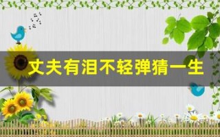 丈夫有泪不轻弹猜一生肖(丈夫有泪不轻弹解一肖)