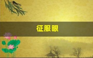 征服眼(征服眼电子狗使用教程)