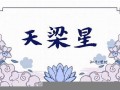 星坐(星座运势)