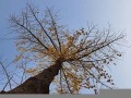 冬月初二(冬月初二是什么日子)