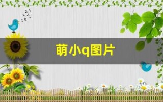 萌小q图片(萌小q和萌小v情侣头像)