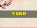 生肖婚配(01年和03年的生肖婚配)