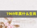 1969年属什么生肖(1994年属什么生肖)