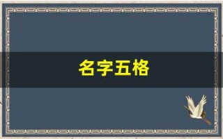 名字五格(姓名五格计算方法)
