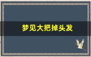 梦见大把掉头发(梦见大把掉头发什么意思周公解梦)