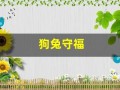 狗兔守福(什么是狗兔守福)