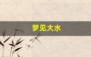 梦见大水(梦见大水淹路是什么意思)