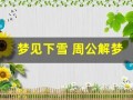 梦见下雪 周公解梦(梦见下雪周公解梦大全查询)